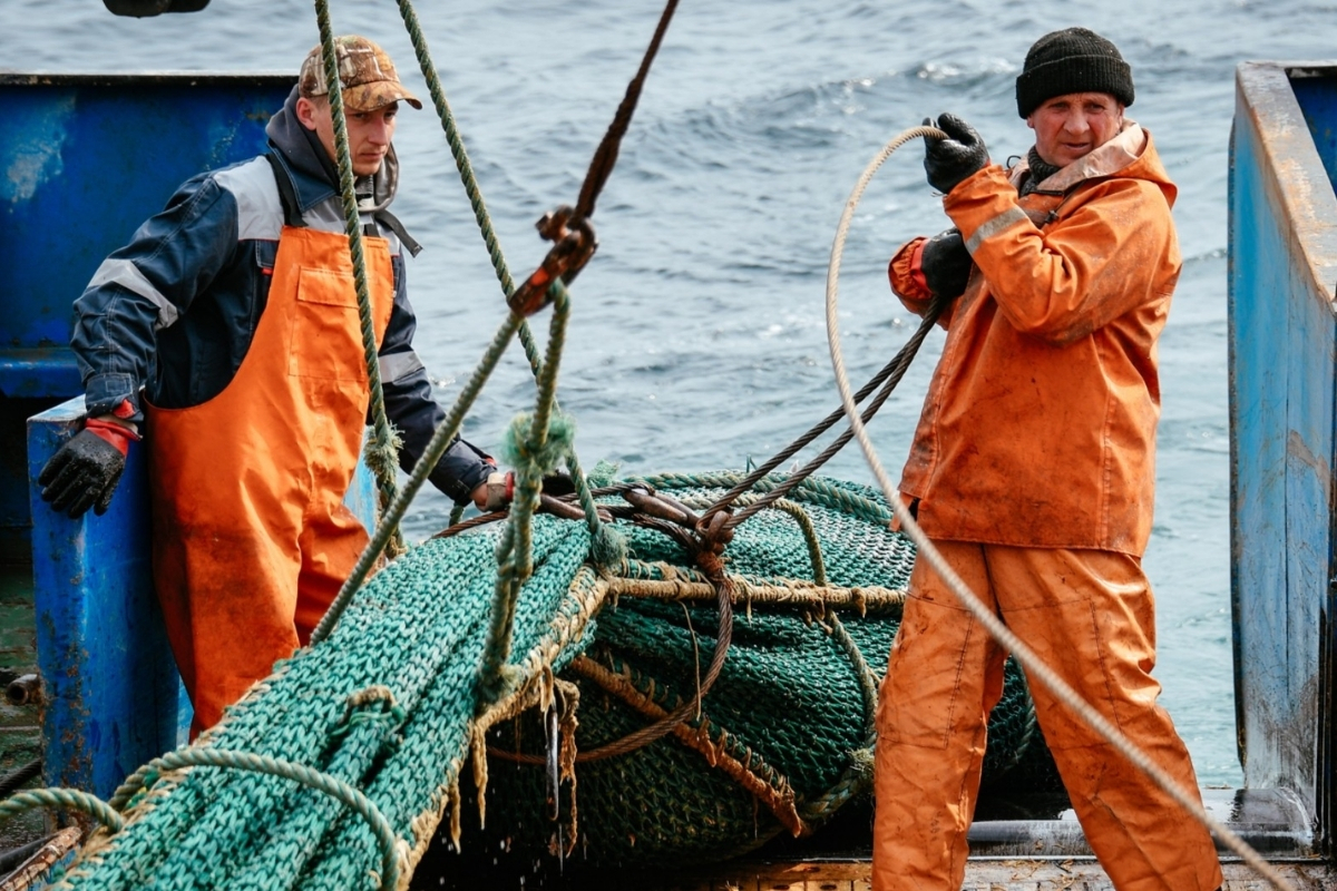 commercial fishing