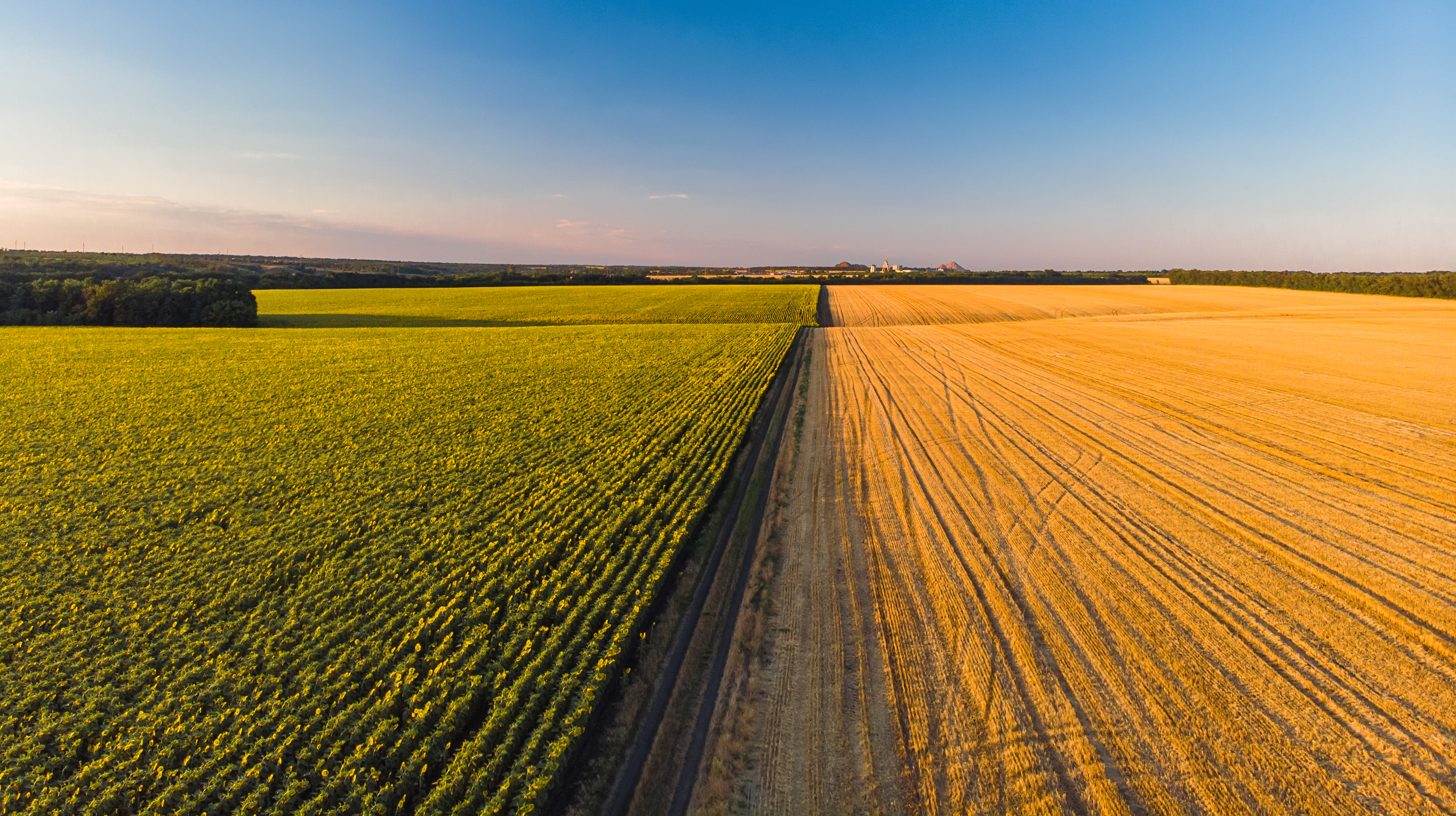 farmland